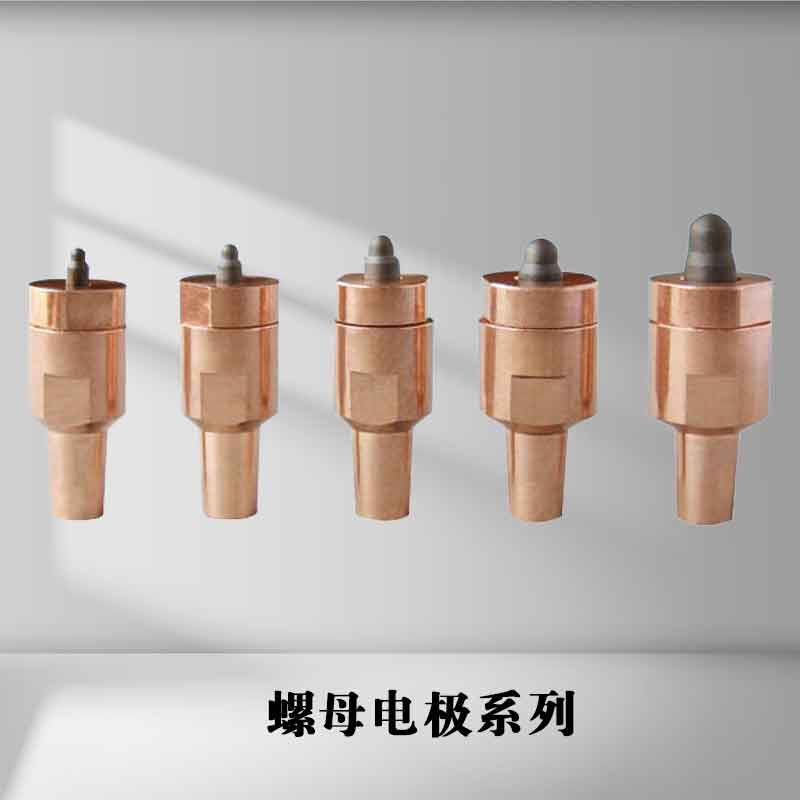 螺母电极系列